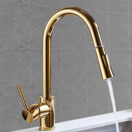 Single Handle Electroplated...